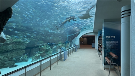 Port of Nagoya Public Aquarium South Building(77)