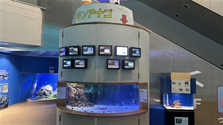 Port of Nagoya Public Aquarium South Building(86)