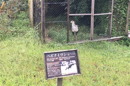 掛川花鳥園(39)