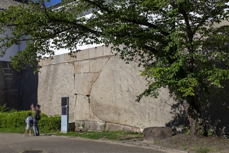 大阪城(118)