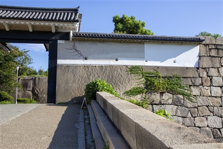 大阪城(730)