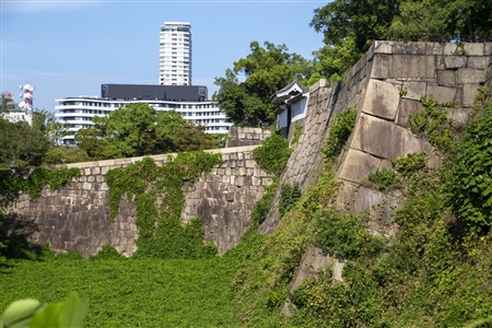 大阪城(748)