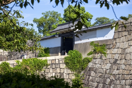 大阪城(750)