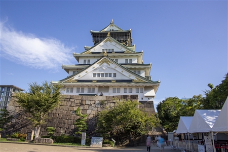 大阪城(781)