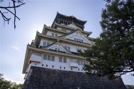 大阪城(784)
