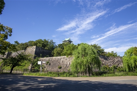 大阪城(843)