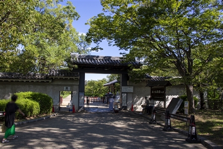 大阪城(859)
