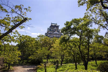 大阪城(874)