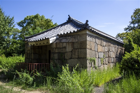 大阪城(884)