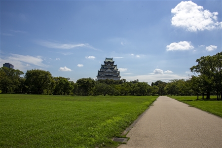 大阪城(893)