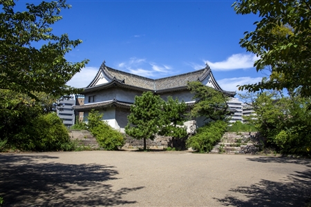大阪城(894)