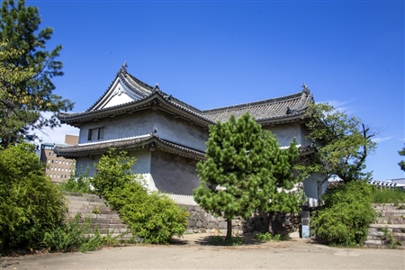 大阪城(896)