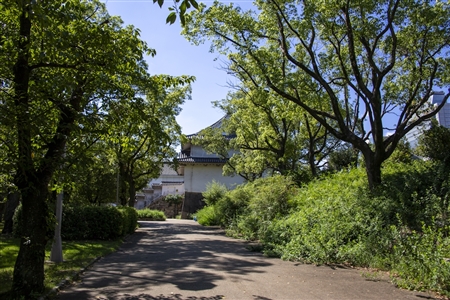 大阪城(897)