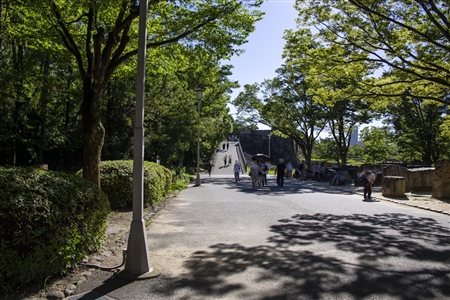 大阪城(90)