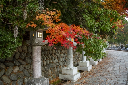 autumn leaves at Koyasan(1)