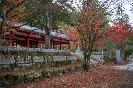 autumn leaves at Koyasan(10)