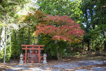 autumn leaves at Koyasan(101)