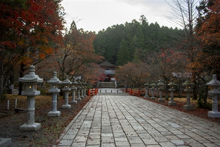 autumn leaves at Koyasan(13)