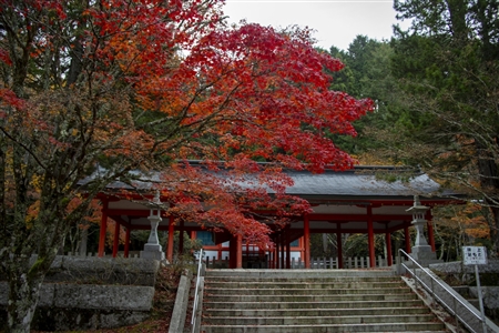 autumn leaves at Koyasan(16)