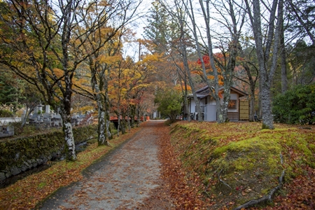 autumn leaves at Koyasan(18)