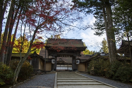 autumn leaves at Koyasan(23)