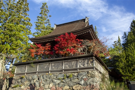 autumn leaves at Koyasan(24)