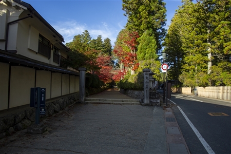 autumn leaves at Koyasan(27)