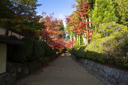 autumn leaves at Koyasan(28)