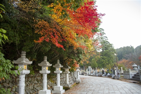 autumn leaves at Koyasan(3)