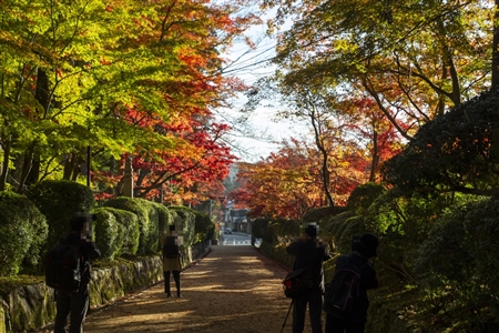 autumn leaves at Koyasan(33)