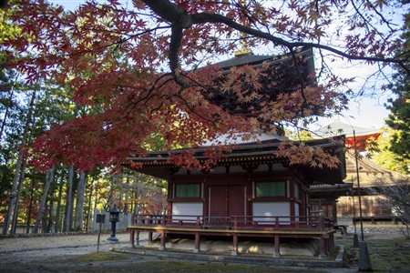 autumn leaves at Koyasan(38)
