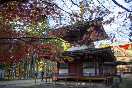 autumn leaves at Koyasan(39)