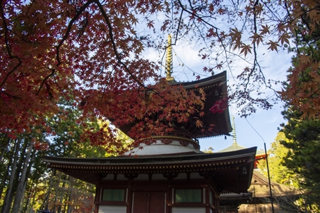 autumn leaves at Koyasan(40)