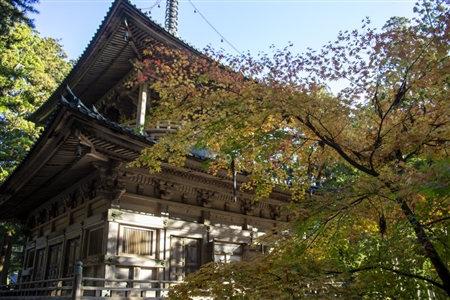 autumn leaves at Koyasan(47)