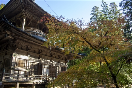 autumn leaves at Koyasan(48)