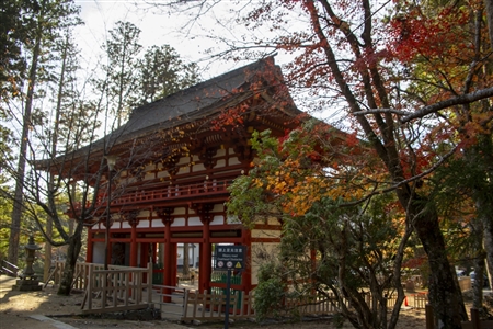 autumn leaves at Koyasan(55)