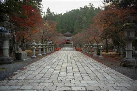 autumn leaves at Koyasan(6)