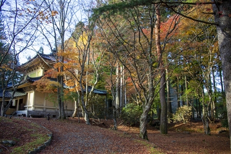 autumn leaves at Koyasan(64)