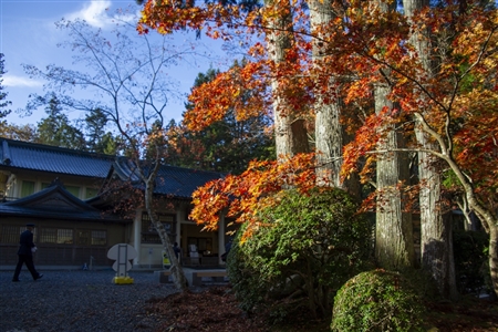 autumn leaves at Koyasan(67)