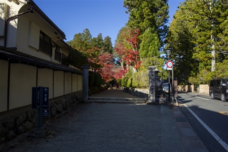 autumn leaves at Koyasan(69)