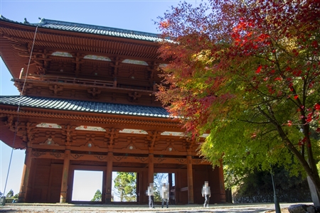 autumn leaves at Koyasan(85)