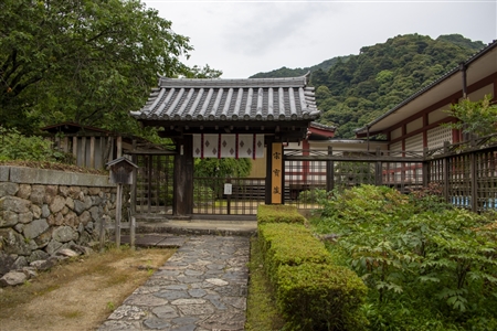 奈良 長谷寺(106)