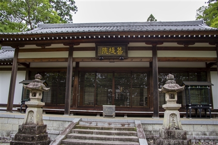 奈良 長谷寺(94)
