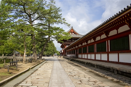 東大寺(179)
