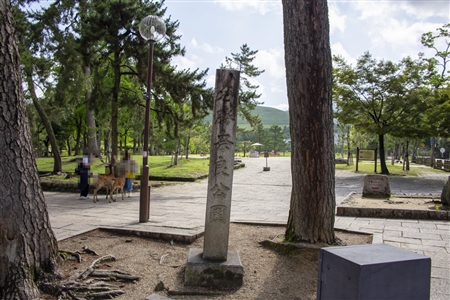 Nara Park(49)
