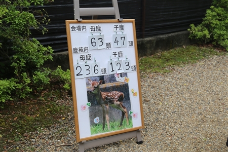 Nara Park(57)