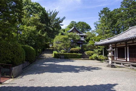 Toshodaiji Temple(19)