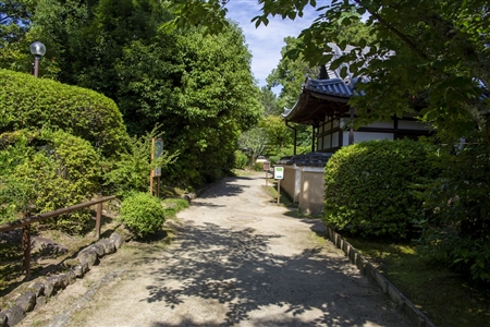 Toshodaiji Temple(21)