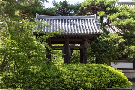 Toshodaiji Temple(8)