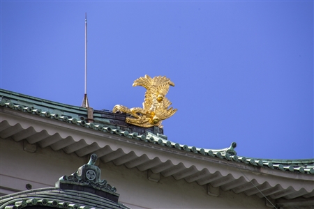Nagoya Castle(334)